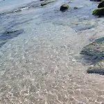 La Colimena