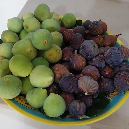 Alojamento de Acomodação e Pequeno-almoço La Colimena