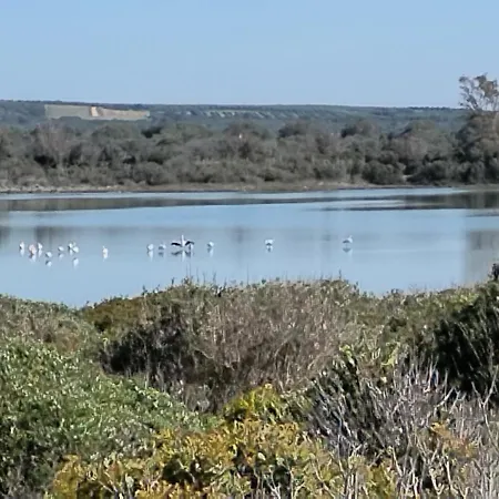 La Colimena Alojamento de Acomodação e Pequeno-almoço 4*