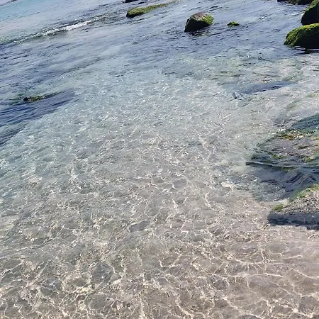 La Colimena