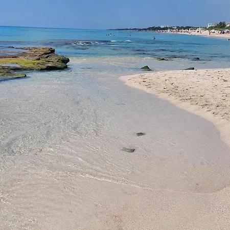 Bed & Breakfast La Colimena 4*