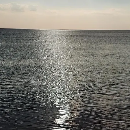 La Colimena 4*