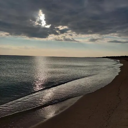 La Colimena