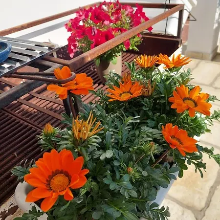 La Colimena Bed & Breakfast