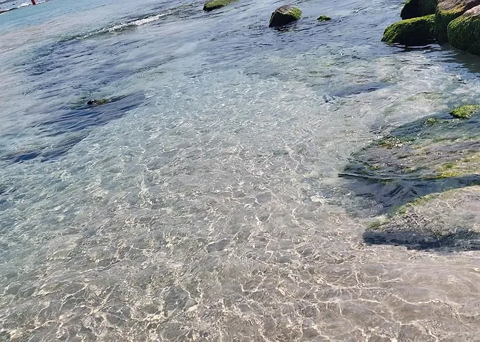 La Colimena