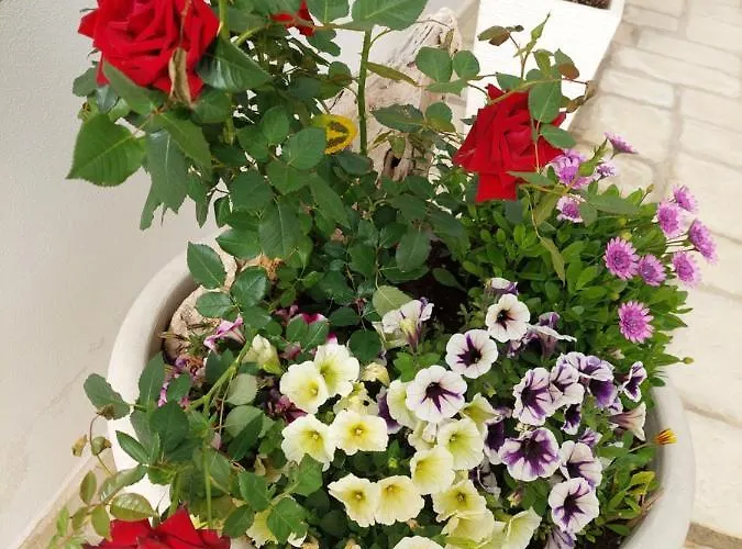 לינה וארוחת בוקר La Colimena טורה קולימנה