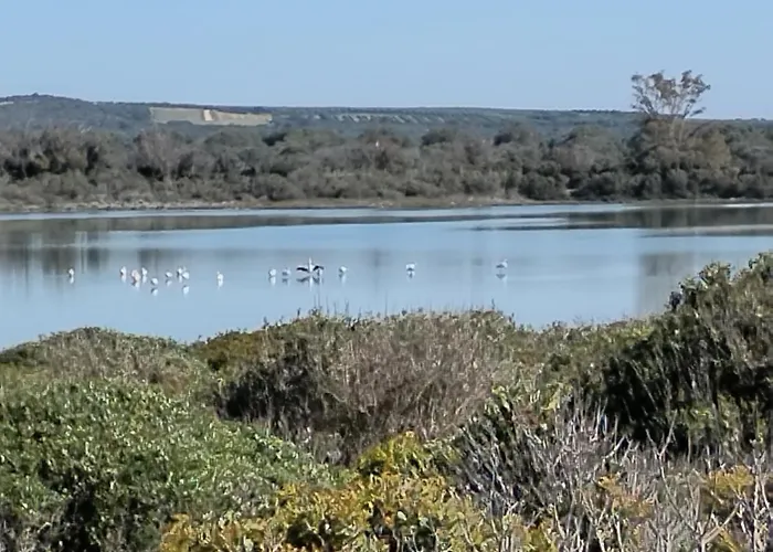 La Colimena לינה וארוחת בוקר 4*